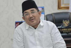 Bupati Tanjab Barat Audiensi dengan Calon Investor, Bahas Energi Hijau dari Sampah dan Matahari