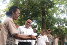 Punya Bentuk yang Unik, Satwa  yang Dikeramatkan