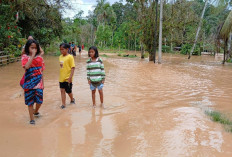 Pencoblosan, Sungai Ujung Tanjung Meluap