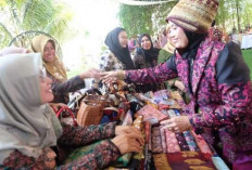 Habiba Najmi Hadiri HUT Ke-44 Dekranas Provinsi Jambi