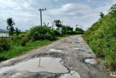 Jalan Koto Petai,  Rusak 