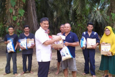 SAH ungkap Data di Era Presiden Prabowo, Harga Pupuk Turun Hingga 20 Persen, Petani Merasakan Dampaknya Langsu