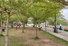 Warga Dukung Penertiban Pedagang Kaki Lima di Sarolangun