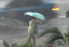 Cuaca Awal Juli 2024, Hujan Ringan di Sebagian Besar Wilayah, Berbagai Kondisi di Ibu Kota Provinsi