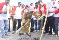 Pemkot Jambi Minta Pengusaha Ikut Hijaukan Lingkungan