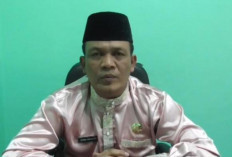 2024, Kasus DBD di Muaro Jambi Melonjak Tajam 