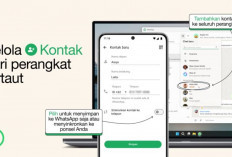 WhatsApp Perbarui Fitur Kelola Kontak Untuk Pengalaman Pengguna Lebih Mudah