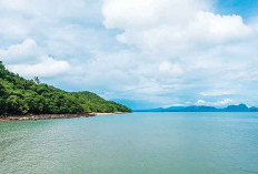 Dari Pantai yang Belum Terjamah Hingga Hutan Bakau yang Masih Asli