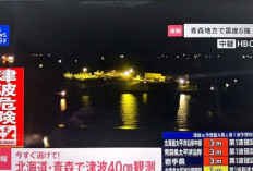 KBRI Tokyo Pastikan WNI Aman 