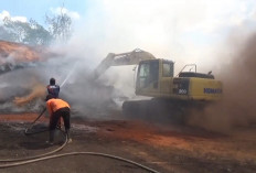 Kebakaran Stockpile Batu Bara di Muaro Jambi Berlanjut, Pemadaman Terus Dilakukan