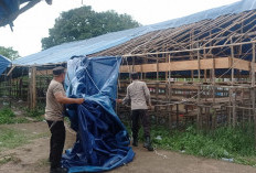 Tempat Dugaan Perjudian Sabung Ayam di Jambi Timur Ditertibkan Polisi