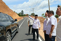 Jalan Simpang Pelawan-Batang Asai Selesai Diperbaiki, Pangkas Tiga Jam Perjalanan