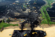 Pemegang IUP Harus Patuh Regulasi, Anak Perusahaan PLN EPI PT. MAP Juga Belum Bayar Jamrek