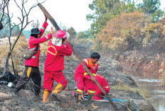 Jambi Jadi Prioritas BNPB, Dimana Operasi Karhutla Aktif Sampai November