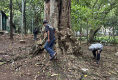 Permainan 'Koin Jagat' Bisa Picu Stres Pemainnya, Kata Psikolog