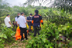 enemuan Mayat Gegerkan Warga Merangin, Korban Ternyata Telah Dilaporkan Hilang