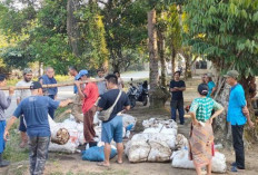 Harga Getah Karet Bertahan di Kisaran Rp14.000 per Kilogram