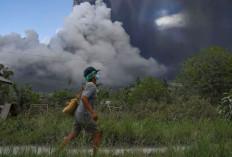 Hidup Berdampingan, Guyub Rukun Tanpa Perselisihan 