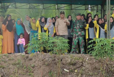 Panen Perdana Padi di Desa Tanjung Senjulang, Bupati Komitmen Majukan Petani