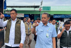 Bapanas: Stabilitas Beras di PIBC Aman selama Natal dan Tahun Baru