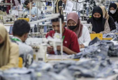 RI Perlu Dorong Penciptaan Lapangan Kerja Produktif