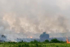 Jambi Tetapkan Status Siaga Darurat Karhutla, Berlaku Sejak 19 Juli Hingga 31 Oktober 