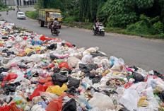 Volume Sampah Kota Jambi Capai 400 Ton per Hari, Jadi Tantangan Serius Pemda