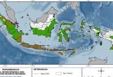 Potensi Hujan  Akhir Juli-Agustus 2024