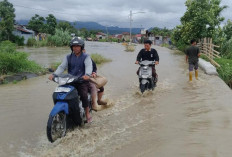 Debit Sungai Batang Merao Naik, Warga Kerinci dan Sungai Penuh Diminta Siaga
