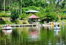 BSKDN Kemendagri Dorong BUMD Jadi Pilar Kemandirian Fiskal Daerah