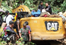 Polisi Tertibkan Aktivitas PETI di Bungo, Bakar Lokasi Basecamp dan Sita Alat Berat