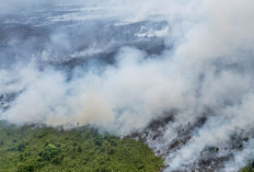 Pengendalian Karhutla Terus Dilakukan