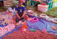  Harga Bahan Pokok di Sejumlah Pasar di Muaro Jambi Merangkak Naik 