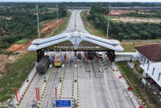 Aktivitas Baleno Naik 62,16 Persen, Peningkatan Persentase Tertinggi Ketiga di JTTS