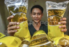 Harga Cabai Meroket, Warga Keluhkan Tingginya Biaya Hidup