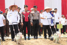 Bupati Muaro Jambi BBS Hadiri Penanaman Jagung Serentak Dukung Swasembada Pangan Nasional