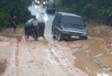 Warga Minta Tebing Bukit Patah Diturap Setelah Sering Longsor