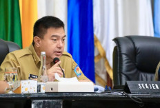 Baru 44 Daerah yang Rutin Sidak Pasar untuk Kendalikan Inflasi