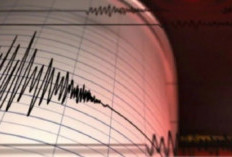 Pakar UGM Minta Masyarakat Tenang Hadapi Potensi Gempa Megathrust