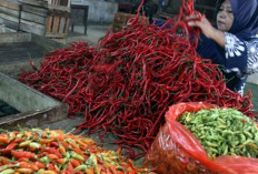 PIHPS Catat Harga Cabai Rawit Rp41.650/kg, Telur Ayam Rp31.400/kg
