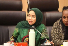 Legislator Dorong Pemerintah Segera Terbitkan PP Turunan UU Minerba