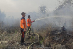 Sehari Tiga Titik Api Karhutla Terdeteksi di Kabupaten Muaro Jambi, BPB Diminta Bergerak Cepat