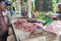 Antisipasi Kenaikan Harga Ayam Potong, Peternak Sepakat Jalin Kerjasama dengan Pedagang 