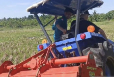 Peran Mahasiswa dalam Mewujudkan Pertanian Modern di Indonesia