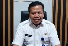 Mulai Banyak Pendaftar PPPK