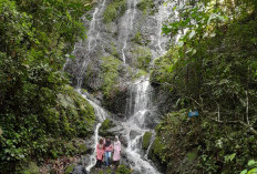 Destinasi Wisata Air Terjun Sungai Buluh Kuring