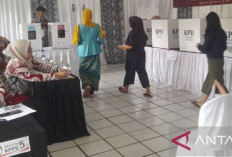 Petugas Pilkada Meninggal Saat Bertugas