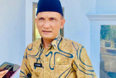 Bupati Hurmin Instruksikan Dishub Tertibkan Parkir Liar di Sarolangun