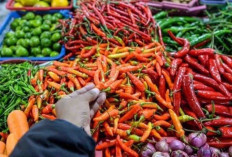 WADUH! Harga Cabai Merah dan Ikan Tongkol Melonjak Tajam, Cabai Capai Rp78.110 per Kg