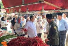 Jelang Idul Fitri, Permintaan Daging Beku di Kota Jambi Meningkat